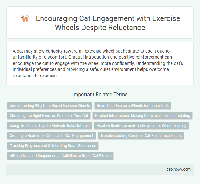 Encouraging Cat Engagement with Exercise Wheels Despite Reluctance