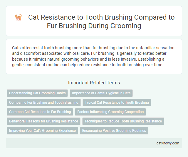 Cat Resistance to Tooth Brushing Compared to Fur Brushing During Grooming