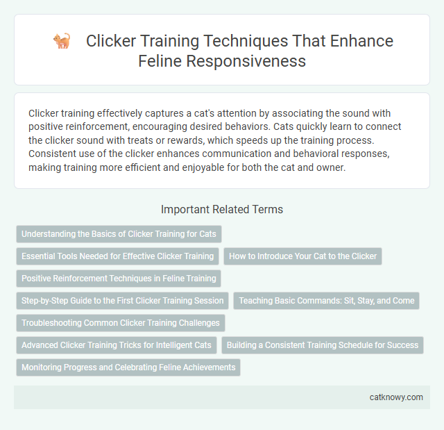 Clicker Training Techniques That Enhance Feline Responsiveness