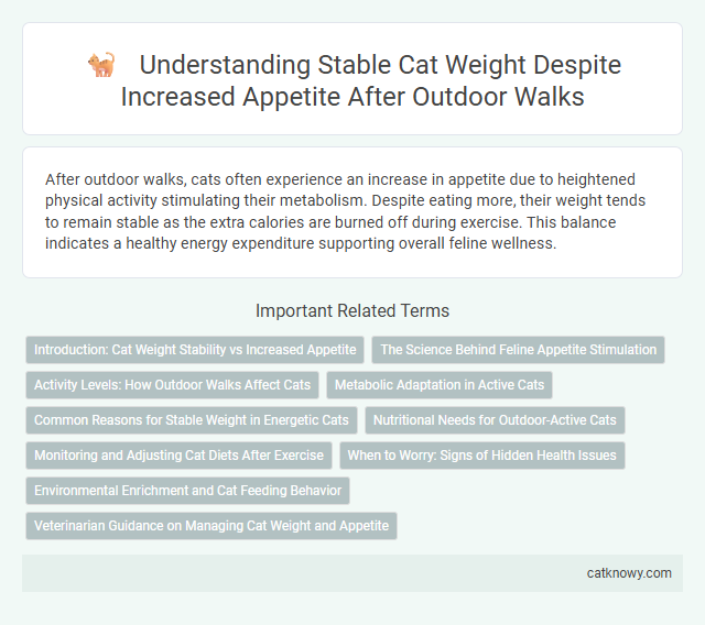 Understanding Stable Cat Weight Despite Increased Appetite After Outdoor Walks