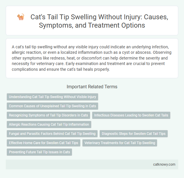 Cat's Tail Tip Swelling Without Injury: Causes, Symptoms, and Treatment Options