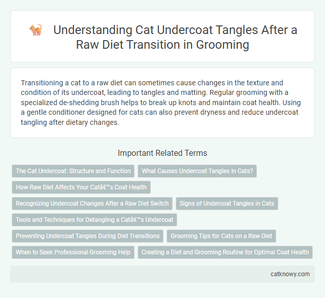 Understanding Cat Undercoat Tangles After a Raw Diet Transition in Grooming