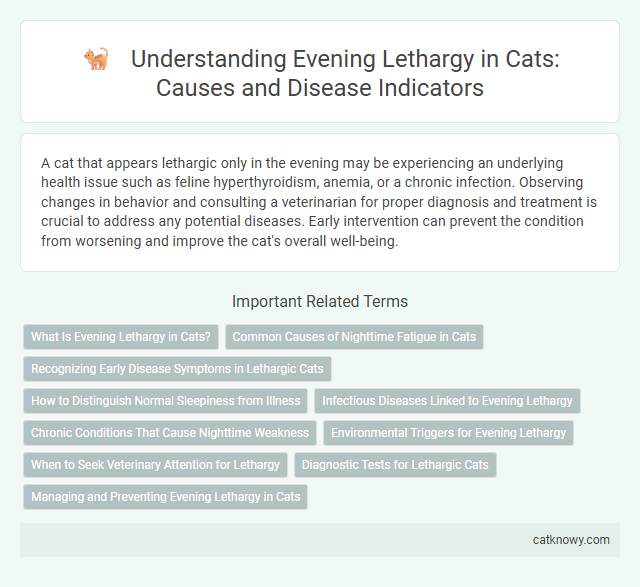 Understanding Evening Lethargy in Cats: Causes and Disease Indicators
