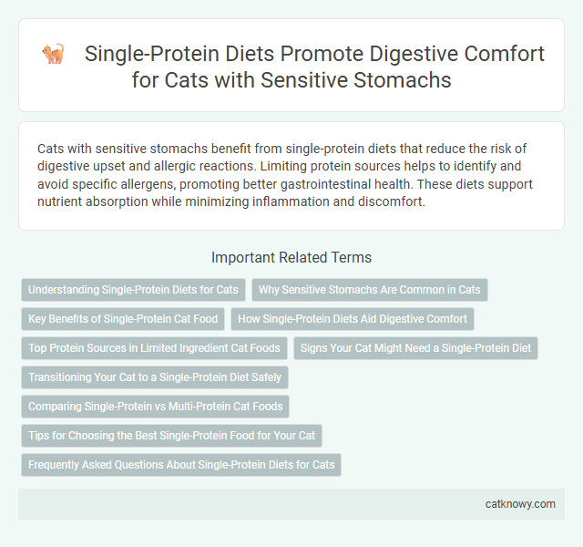 Single-Protein Diets Promote Digestive Comfort for Cats with Sensitive Stomachs