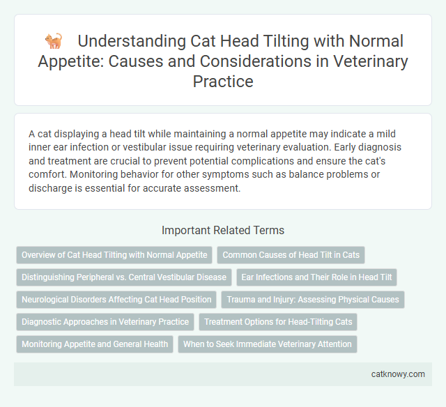 Understanding Cat Head Tilting with Normal Appetite: Causes and Considerations in Veterinary Practice
