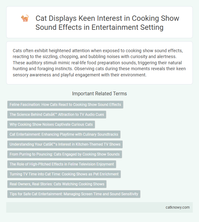 Cat Displays Keen Interest in Cooking Show Sound Effects in Entertainment Setting