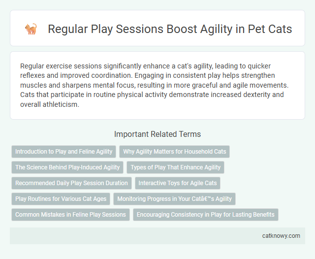 Regular Play Sessions Boost Agility in Pet Cats