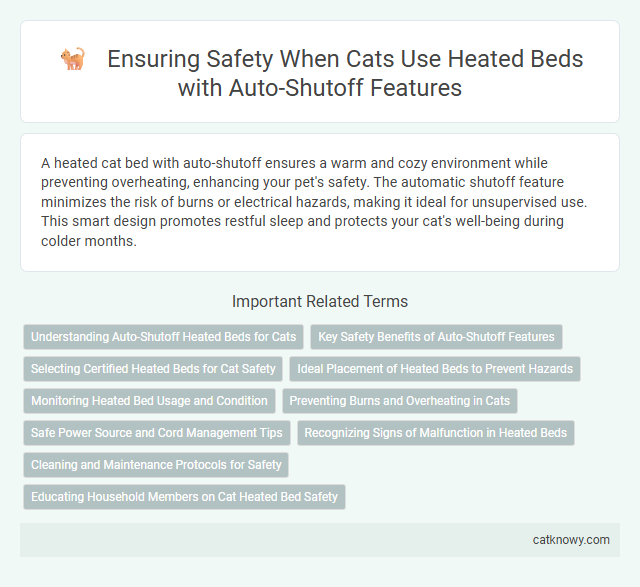Ensuring Safety When Cats Use Heated Beds with Auto-Shutoff Features
