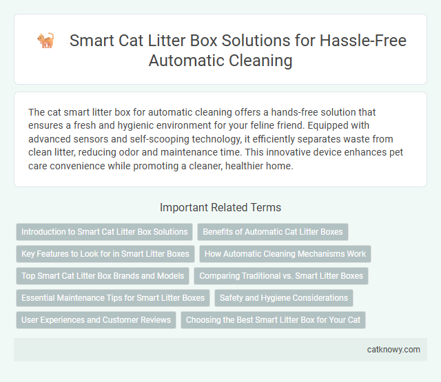 Smart Cat Litter Box Solutions for Hassle-Free Automatic Cleaning