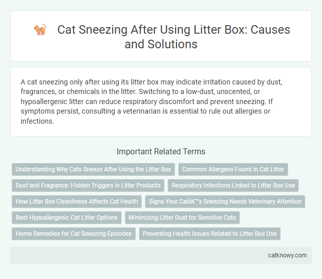 Cat Sneezing After Using Litter Box: Causes and Solutions