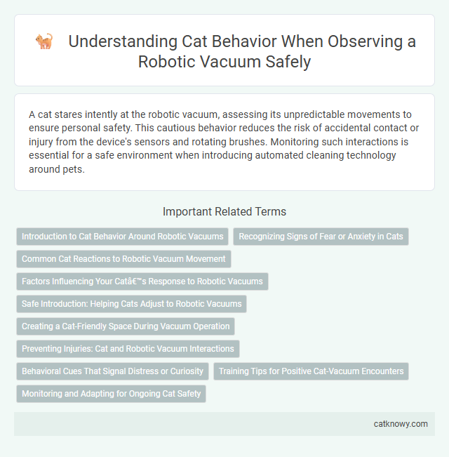 Understanding Cat Behavior When Observing a Robotic Vacuum Safely