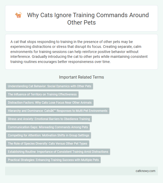 Why Cats Ignore Training Commands Around Other Pets