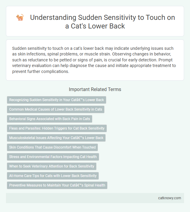 Understanding Sudden Sensitivity to Touch on a Cat's Lower Back