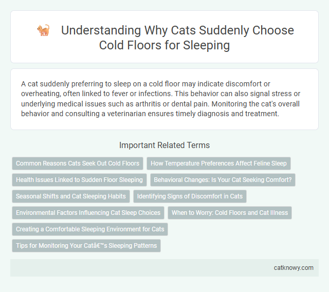 Understanding Why Cats Suddenly Choose Cold Floors for Sleeping