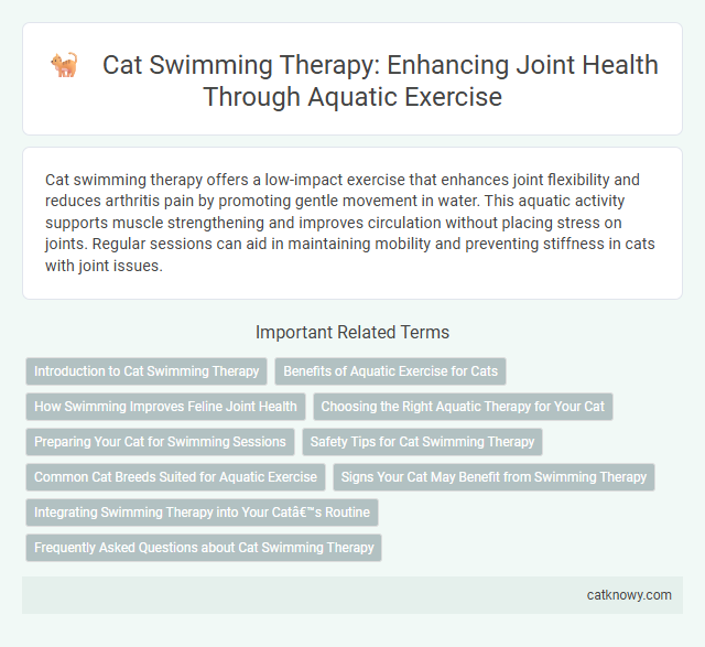Cat Swimming Therapy: Enhancing Joint Health Through Aquatic Exercise