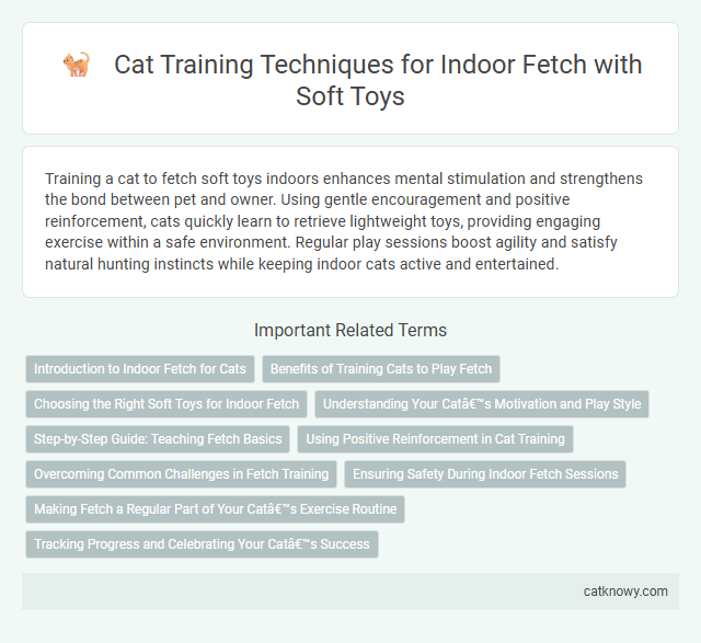 Cat Training Techniques for Indoor Fetch with Soft Toys