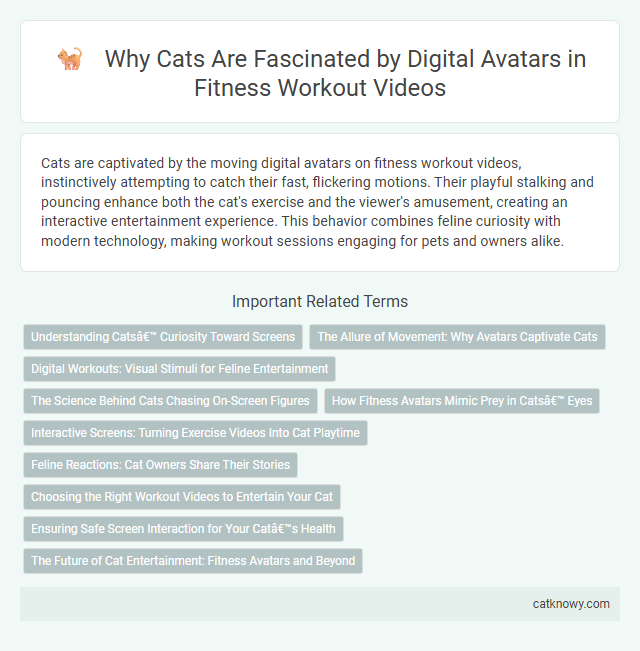 Why Cats Are Fascinated by Digital Avatars in Fitness Workout Videos