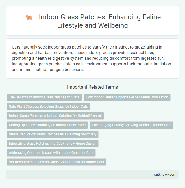 Indoor Grass Patches: Enhancing Feline Lifestyle and Wellbeing
