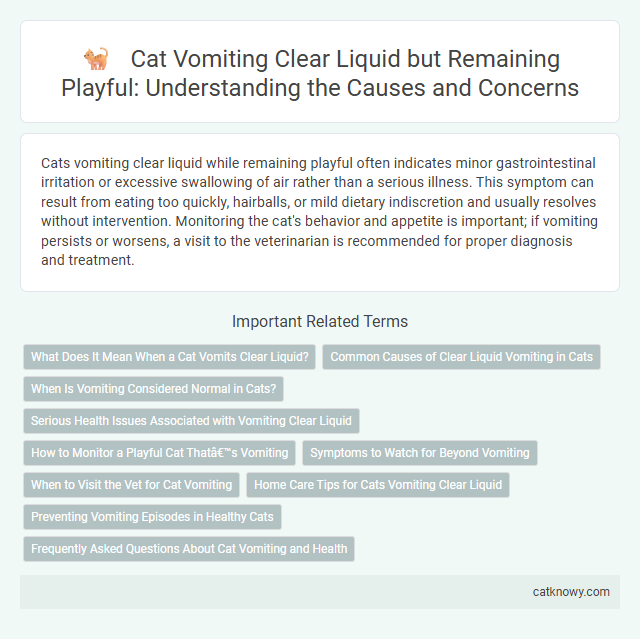 Cat Vomiting Clear Liquid but Remaining Playful: Understanding the Causes and Concerns