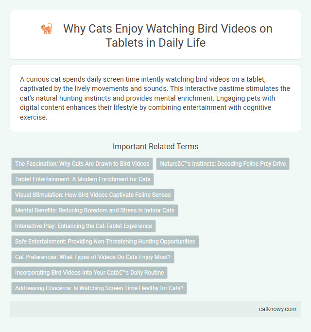 Why Cats Enjoy Watching Bird Videos on Tablets in Daily Life