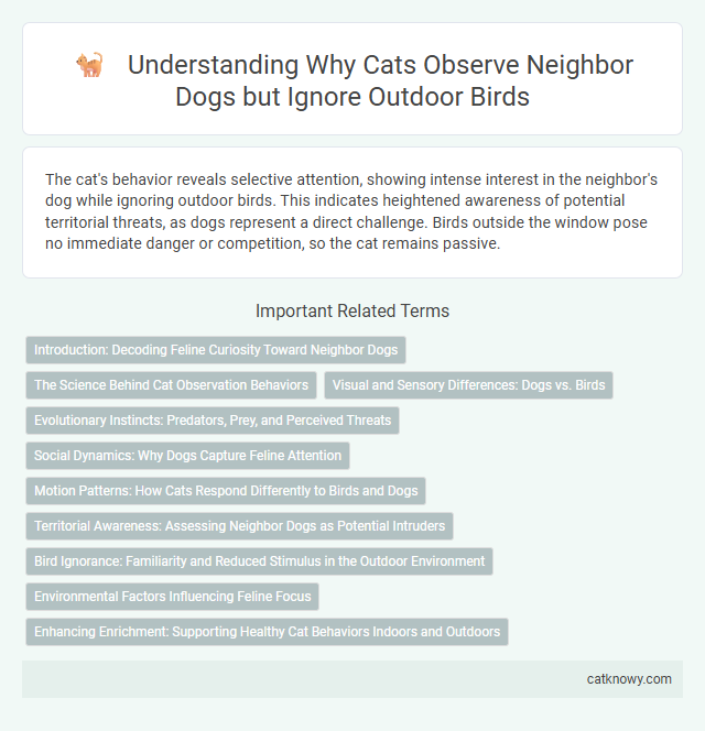 Understanding Why Cats Observe Neighbor Dogs but Ignore Outdoor Birds