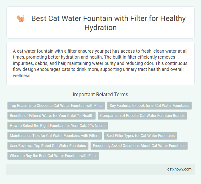 Best Cat Water Fountain with Filter for Healthy Hydration