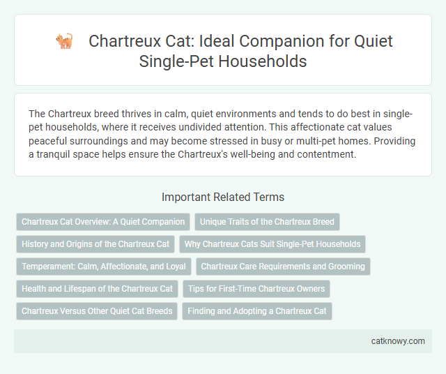 Chartreux Cat: Ideal Companion for Quiet Single-Pet Households