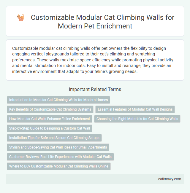 Customizable Modular Cat Climbing Walls for Modern Pet Enrichment