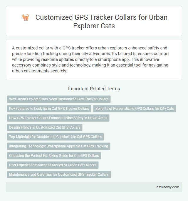 Customized GPS Tracker Collars for Urban Explorer Cats