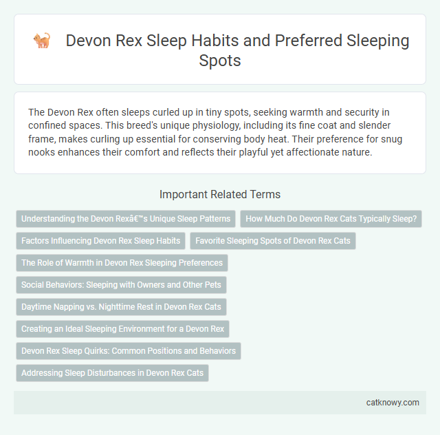 Devon Rex Sleep Habits and Preferred Sleeping Spots