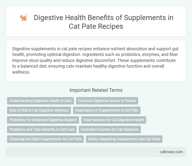 Digestive Health Benefits of Supplements in Cat Pate Recipes