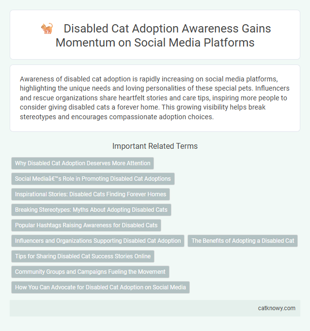 Disabled Cat Adoption Awareness Gains Momentum on Social Media Platforms