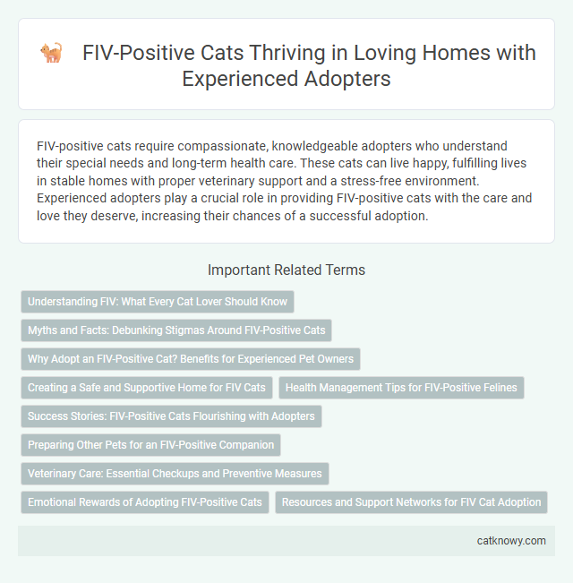 FIV-Positive Cats Thriving in Loving Homes with Experienced Adopters
