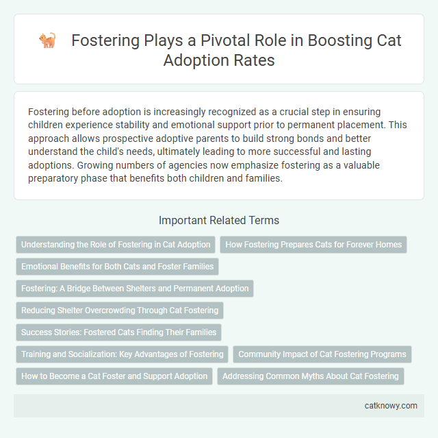 Fostering Plays a Pivotal Role in Boosting Cat Adoption Rates