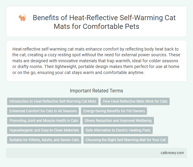 Benefits of Heat-Reflective Self-Warming Cat Mats for Comfortable Pets