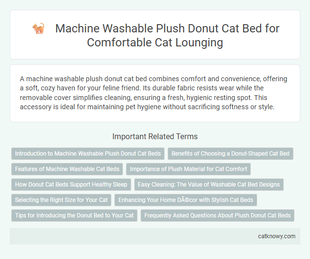 Machine Washable Plush Donut Cat Bed for Comfortable Cat Lounging
