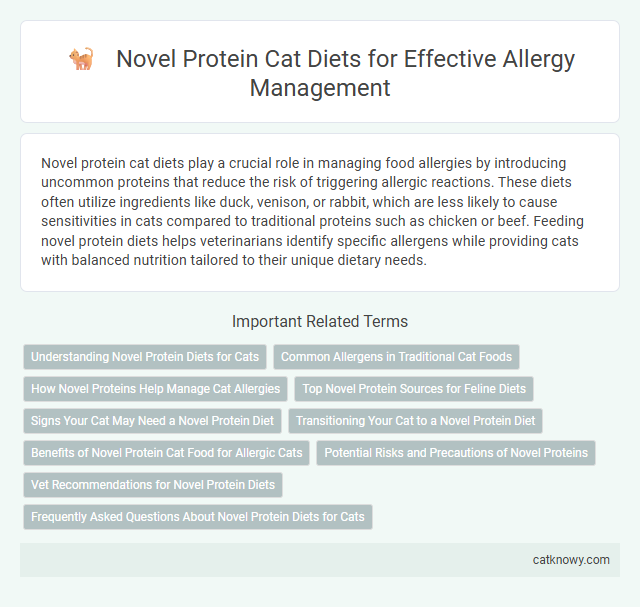 Novel Protein Cat Diets for Effective Allergy Management