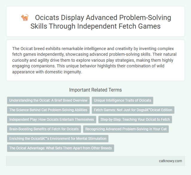 Ocicats Display Advanced Problem-Solving Skills Through Independent Fetch Games