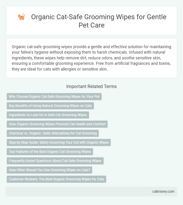 Organic Cat-Safe Grooming Wipes for Gentle Pet Care