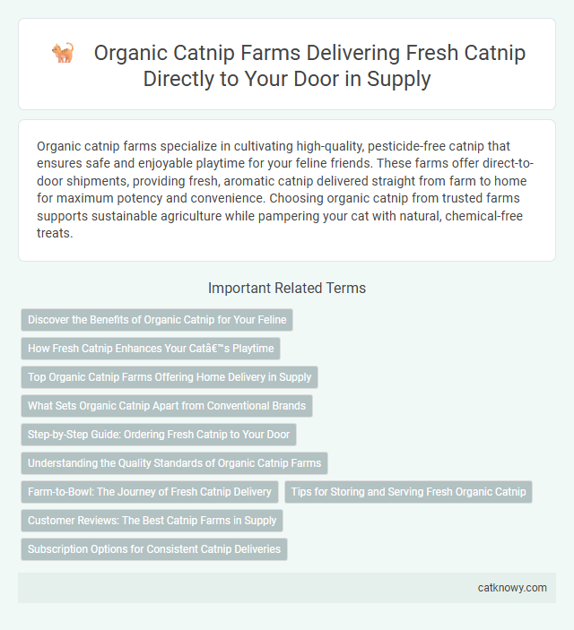 Organic Catnip Farms Delivering Fresh Catnip Directly to Your Door in Supply