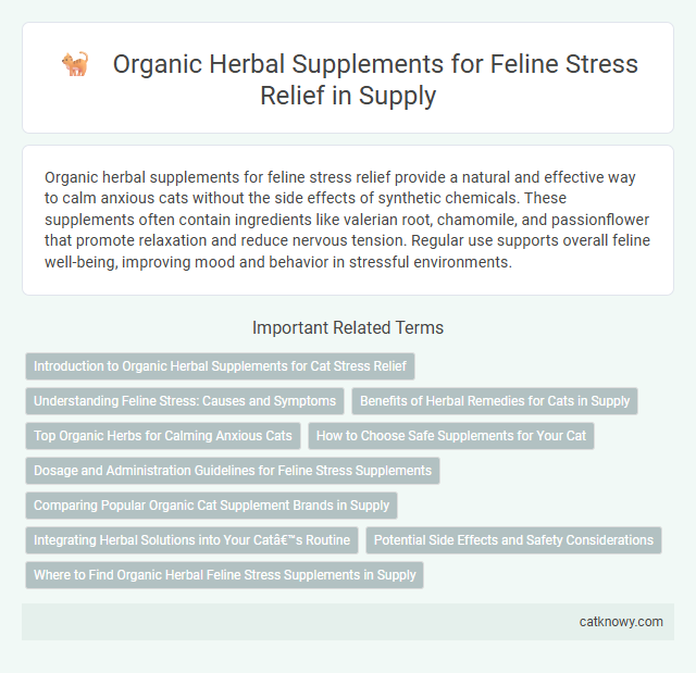 Organic Herbal Supplements for Feline Stress Relief in Supply