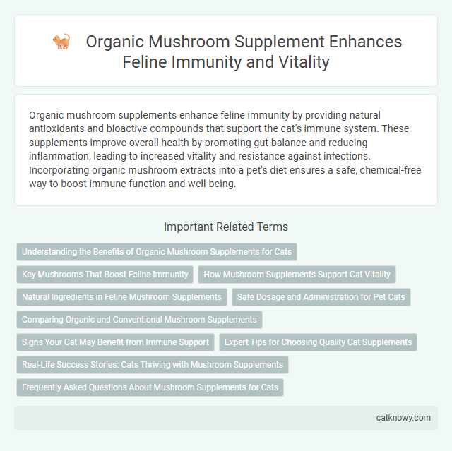 Organic Mushroom Supplement Enhances Feline Immunity and Vitality