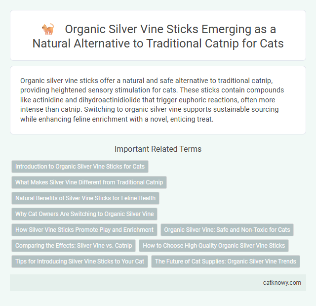Organic Silver Vine Sticks Emerging as a Natural Alternative to Traditional Catnip for Cats