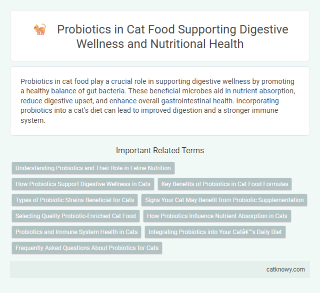 Probiotics in Cat Food Supporting Digestive Wellness and Nutritional Health