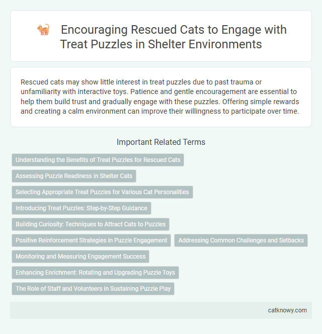 Encouraging Rescued Cats to Engage with Treat Puzzles in Shelter Environments
