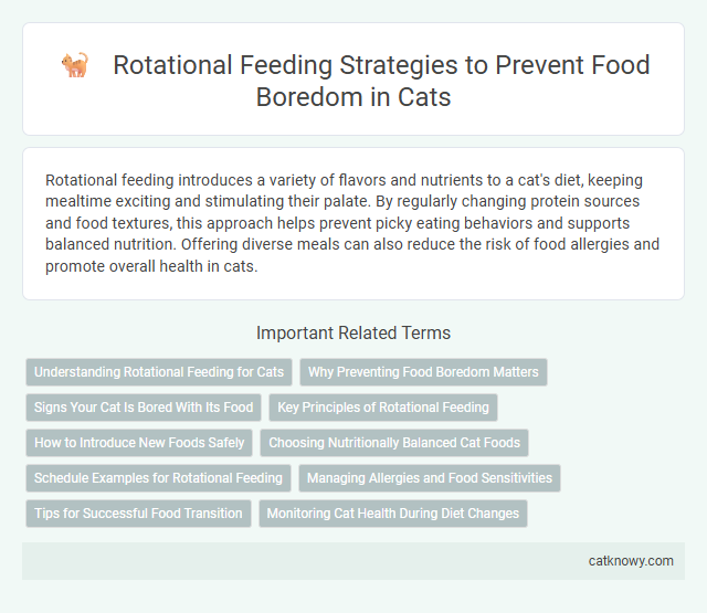 Rotational Feeding Strategies to Prevent Food Boredom in Cats