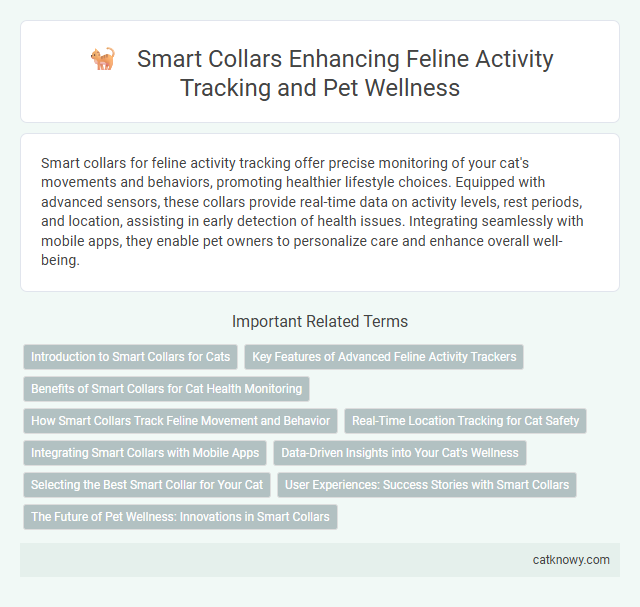 Smart Collars Enhancing Feline Activity Tracking and Pet Wellness