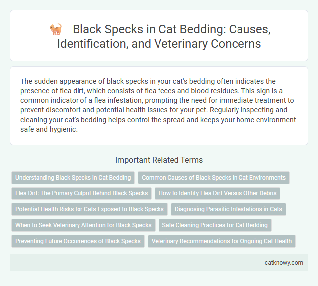 Black Specks in Cat Bedding: Causes, Identification, and Veterinary Concerns