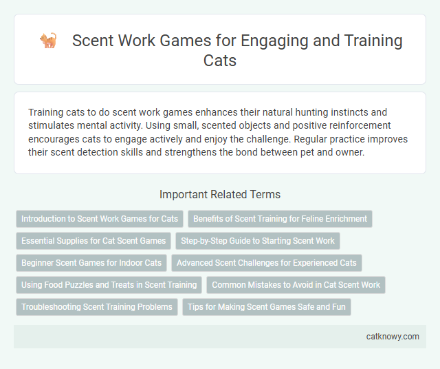 Scent Work Games for Engaging and Training Cats