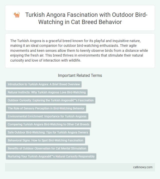 Turkish Angora Fascination with Outdoor Bird-Watching in Cat Breed Behavior